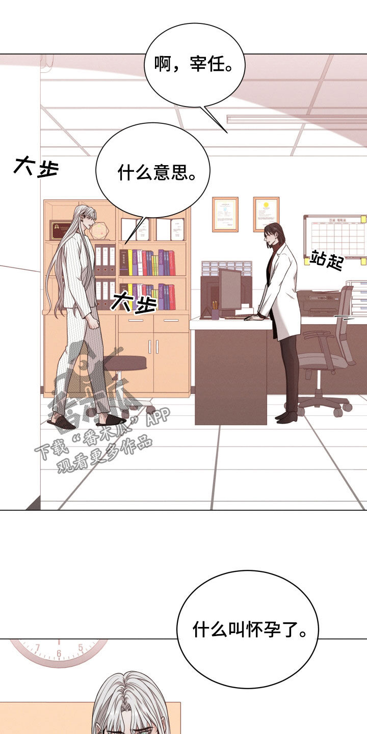 唯你独闻免费漫画,第97章：【第二季】怀孕2图