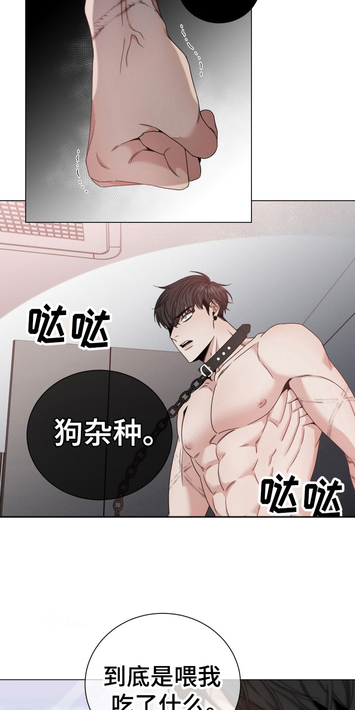 唯你独闻免费漫画下拉式漫画,第11章：听说2图