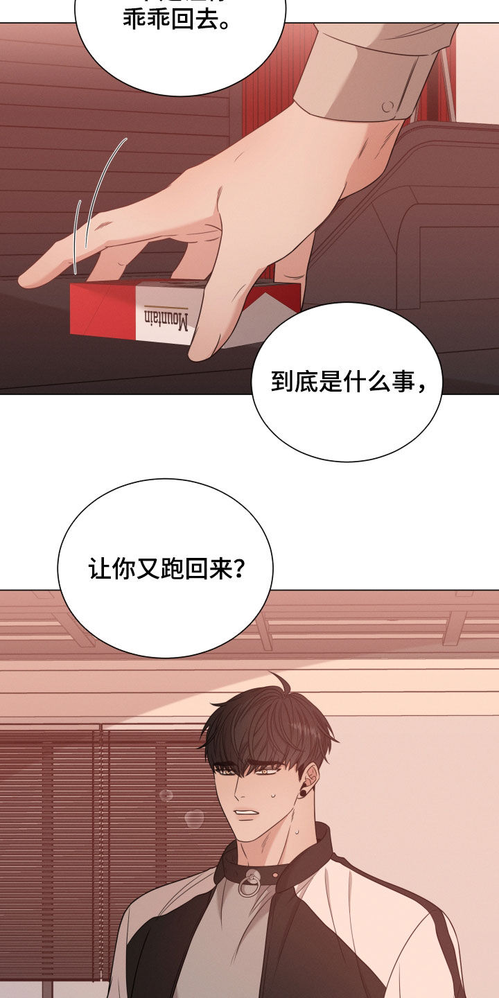 唯你独闻小说漫画,第38章：放过他2图