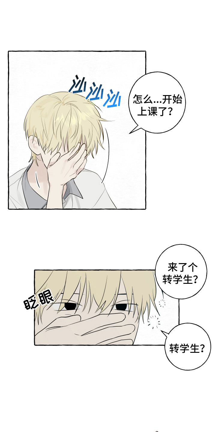 热烈明阳漫画,第2章：转学生2图