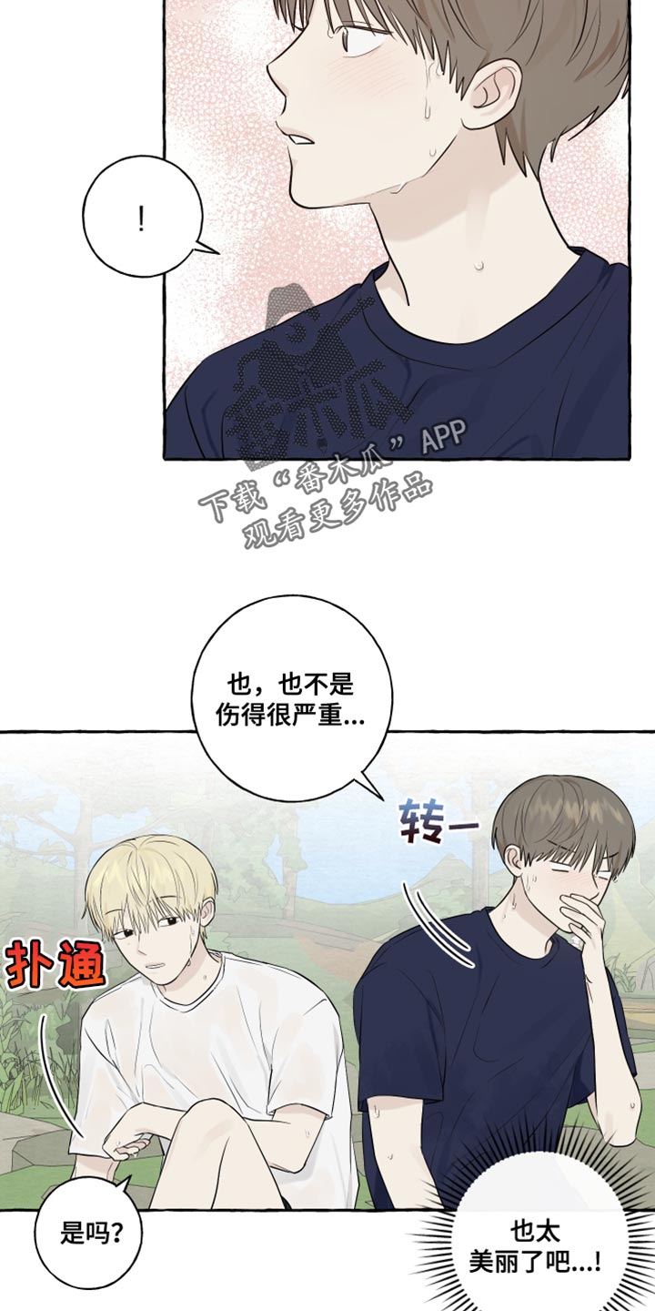 热烈阳光什么意思漫画,第39章：命运1图