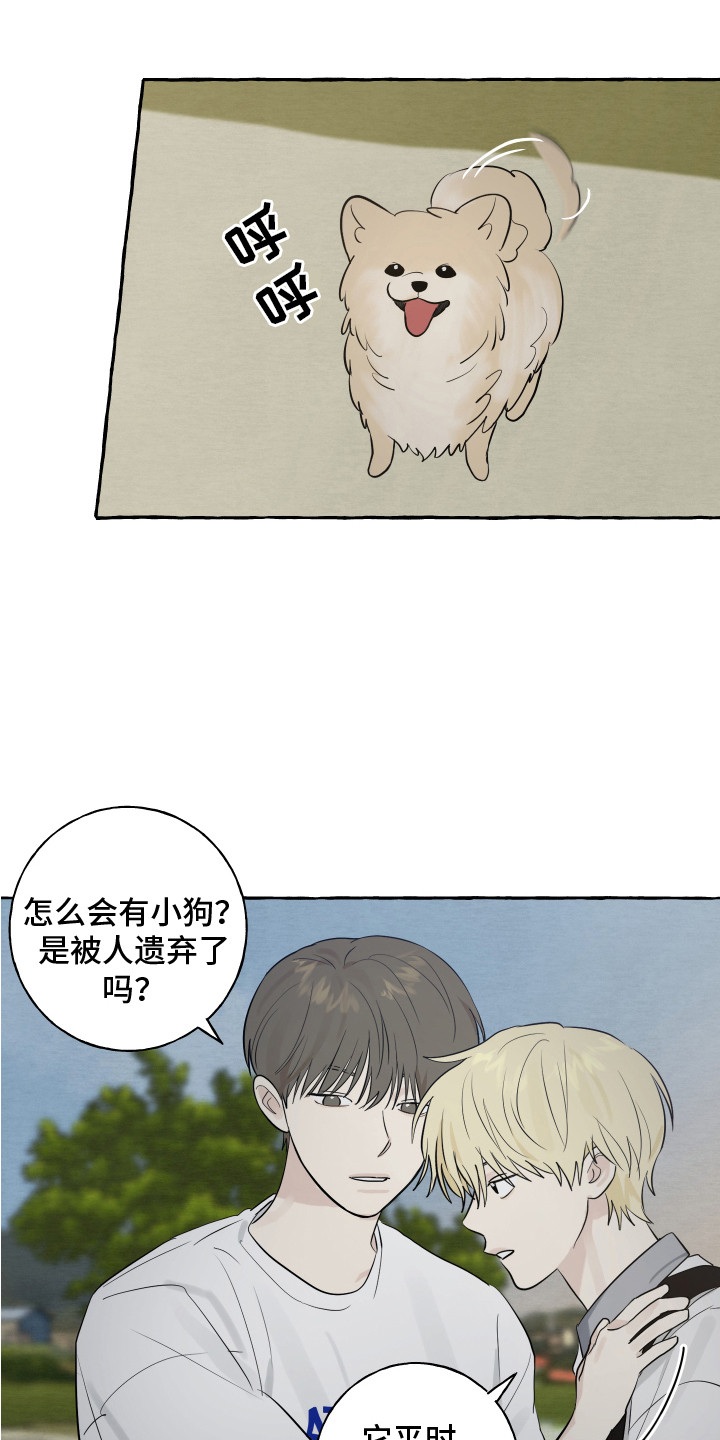热烈讨论漫画,第8章：小狗1图