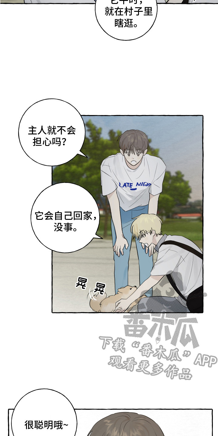 热烈讨论漫画,第8章：小狗2图