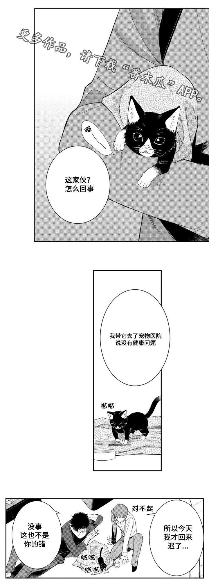 情不自禁电影漫画,第56章：养猫2图