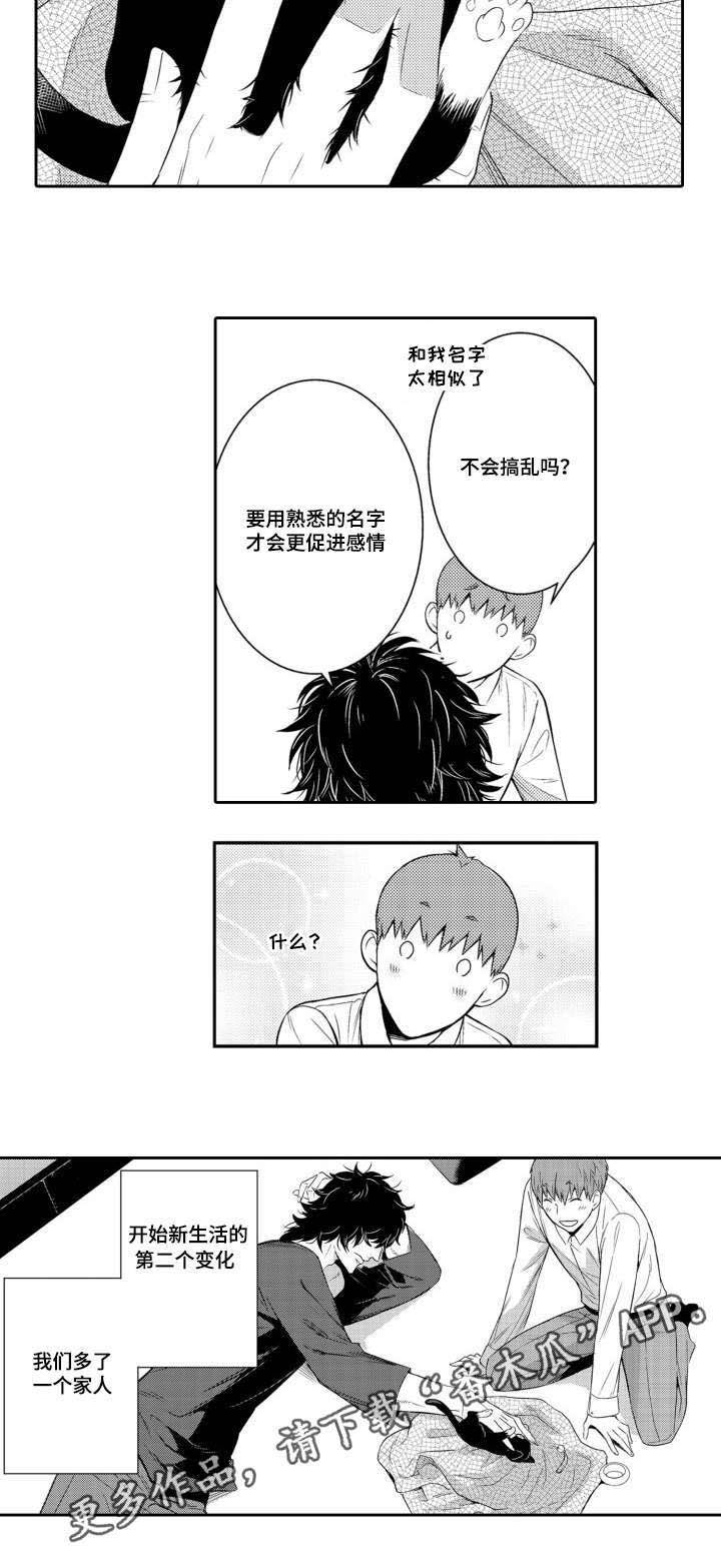 情不自禁电影漫画,第56章：养猫1图