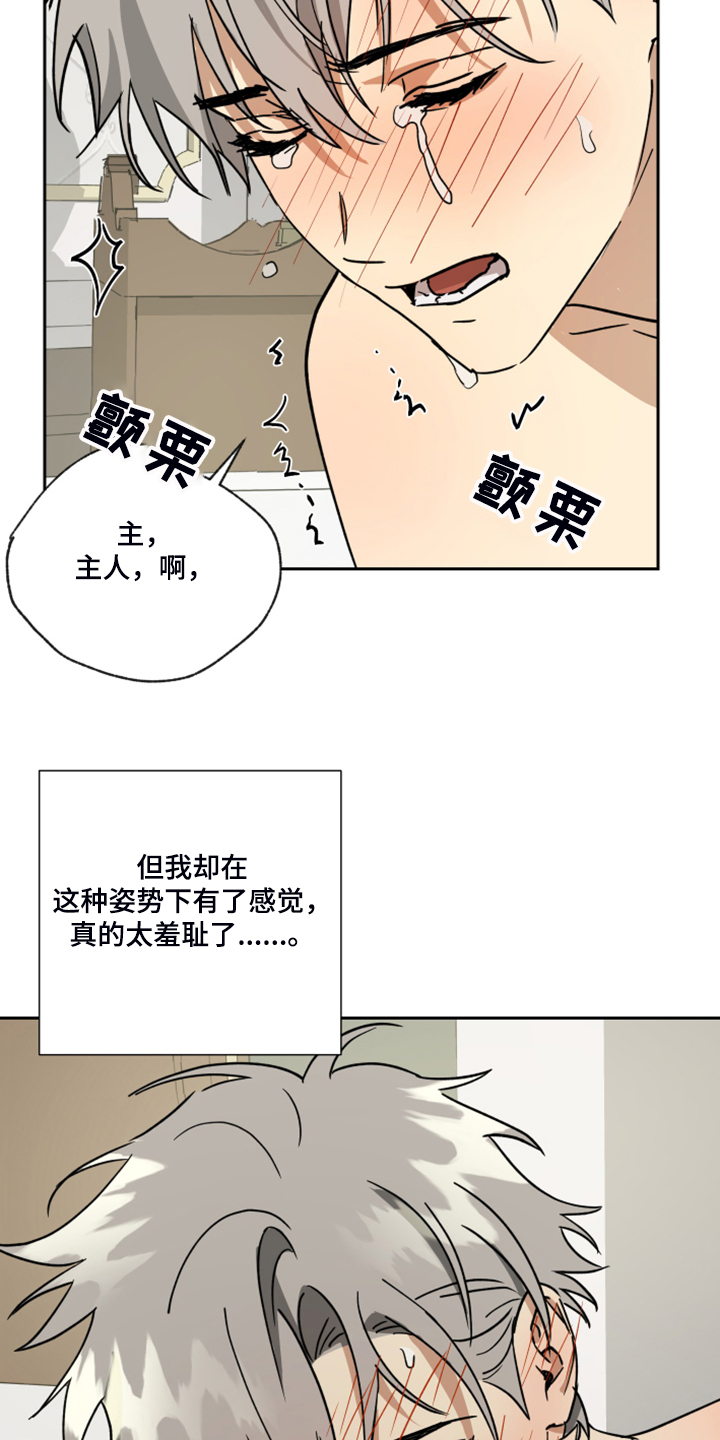 无用仆人漫画,第71章：【第二季】知道错了2图