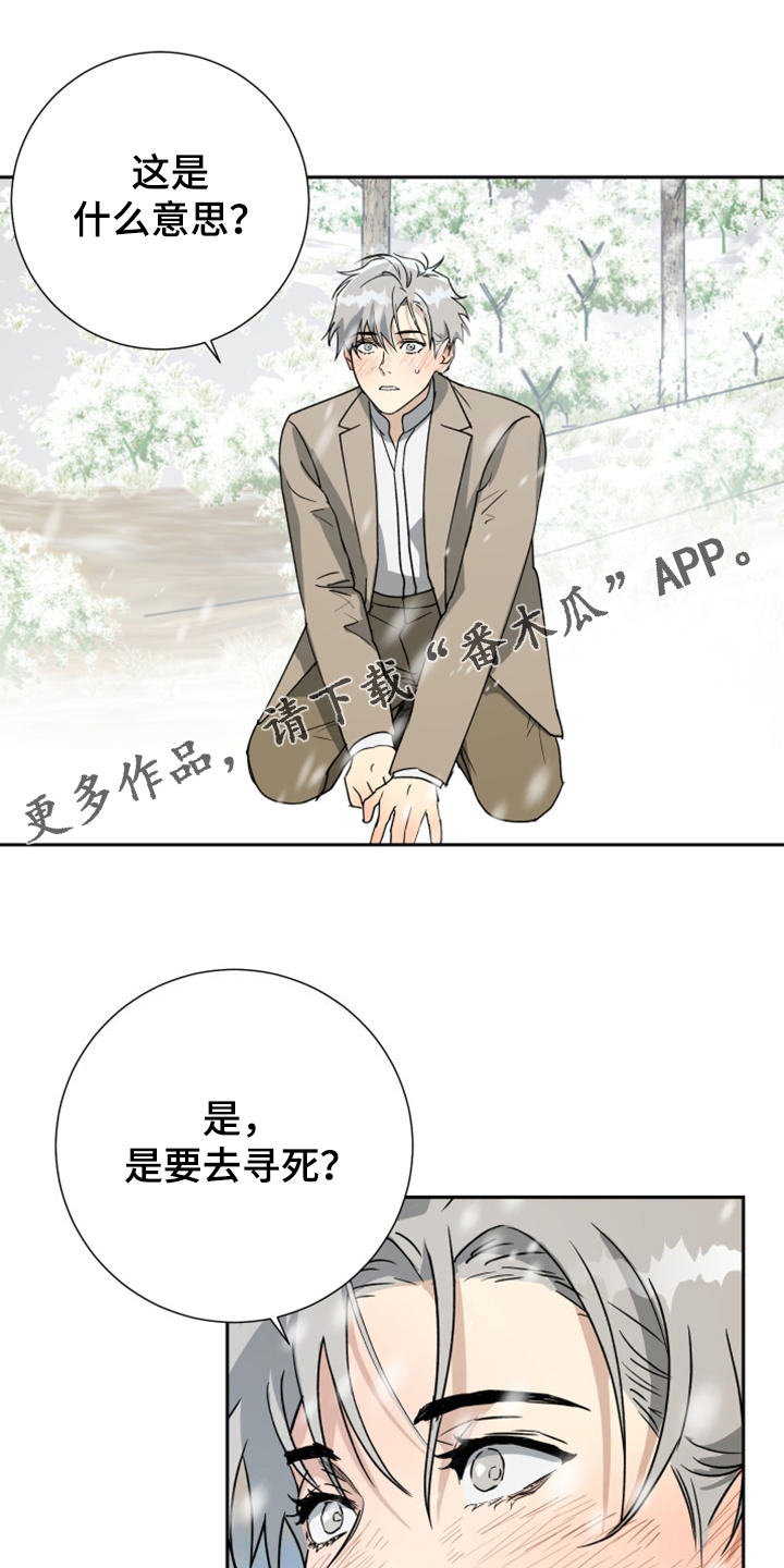 唯一的爱漫画,第95章：【第二季】是要寻死？1图