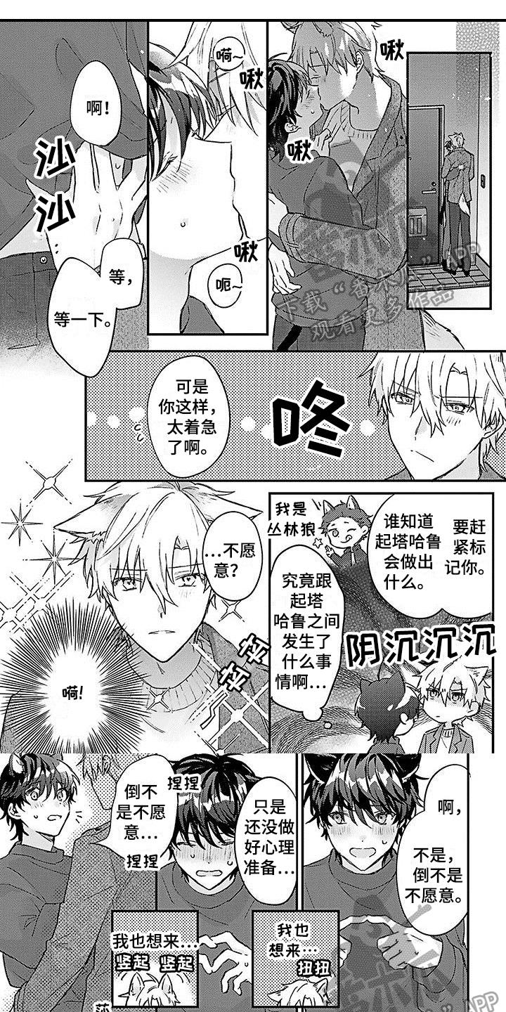 猫会梦见王子吗漫画,第20章：幸福觉悟【完结】1图