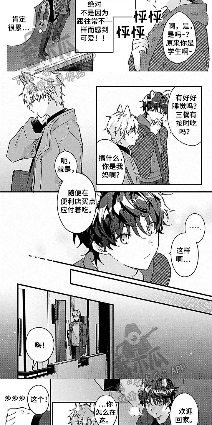 猫会梦见王子吗漫画,第10章：照顾1图