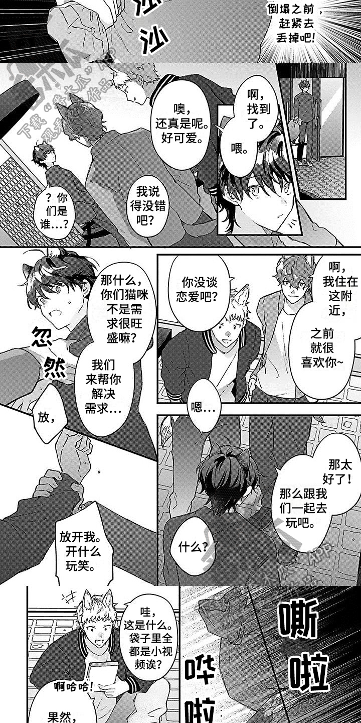 猫会碰见王子吗漫画,第7章：解围2图