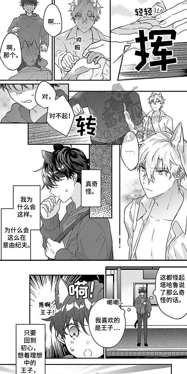 猫会梦见王子吗漫画,第15章：嫉妒2图