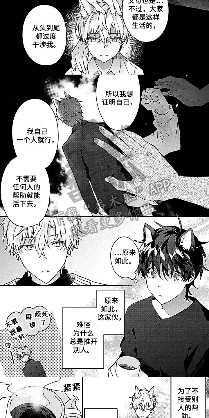 猫会梦见什么漫画,第11章：心动1图