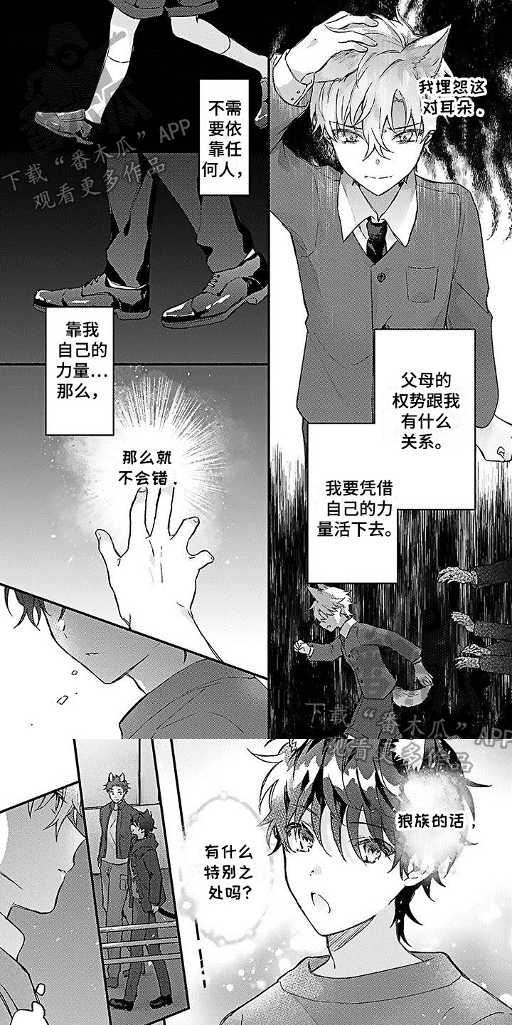 猫会梦见王子吗漫画,第14章：误会1图