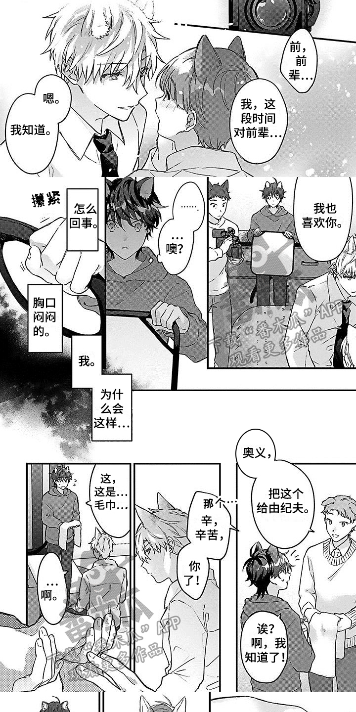 猫会梦见王子吗漫画,第15章：嫉妒1图