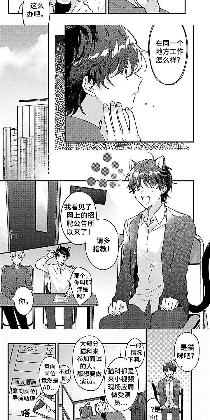 猫咪睡觉会梦见主人吗漫画,第1章：应聘2图