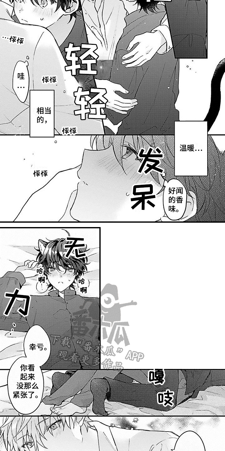 猫咪做梦会梦到主人吗漫画,第5章：安定1图