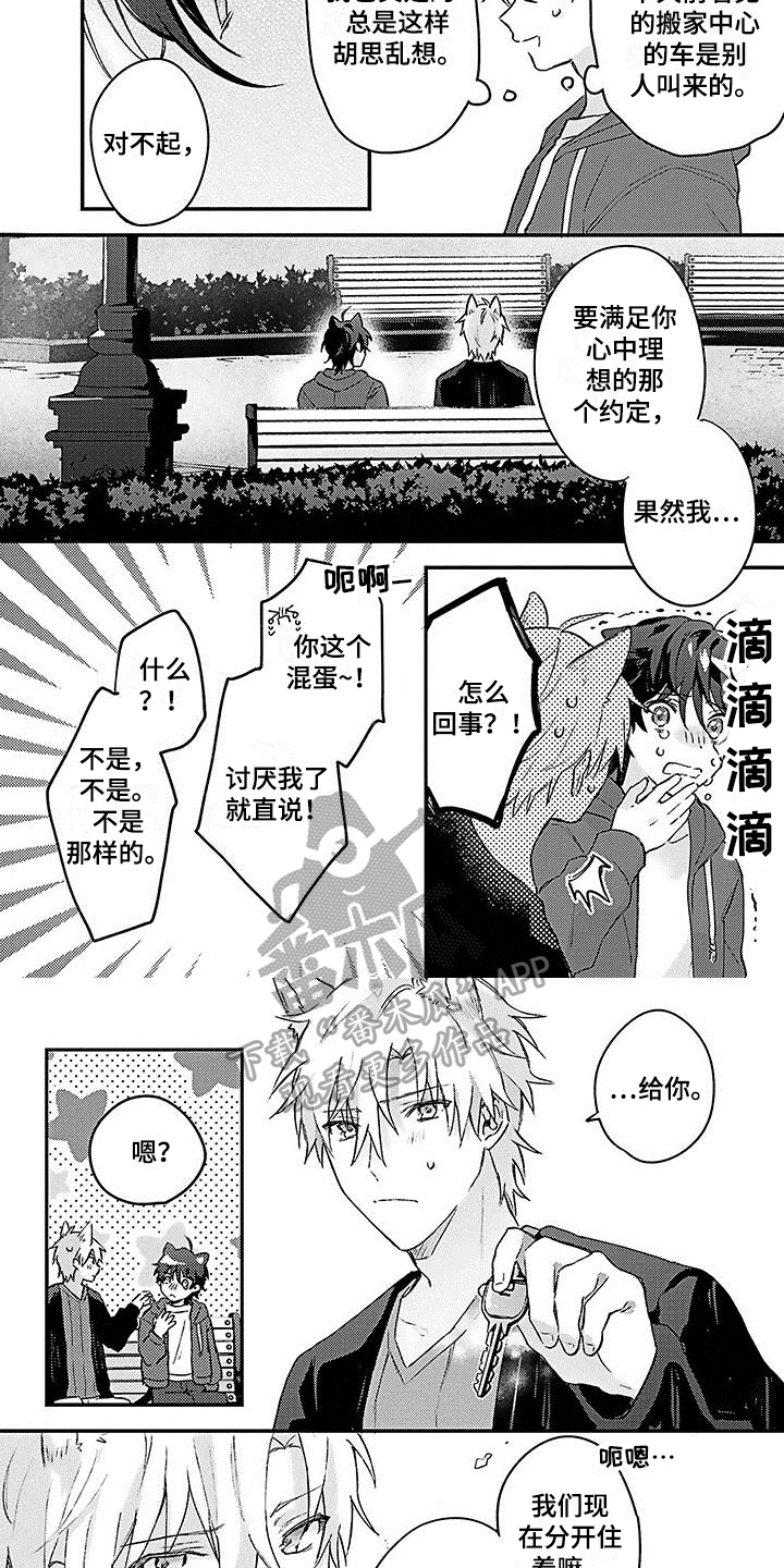 猫都会梦见什么漫画,第21章：【番外】惊喜2图