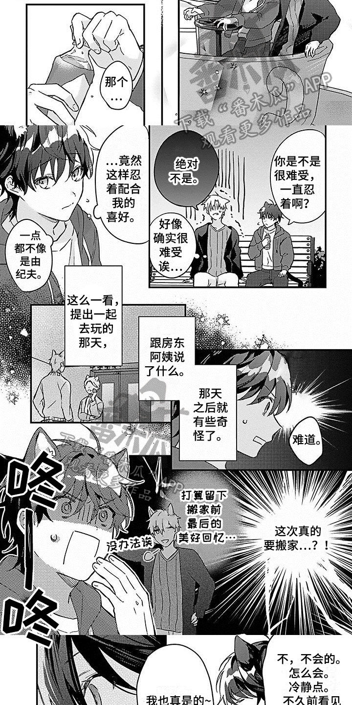 猫都会梦见什么漫画,第21章：【番外】惊喜1图