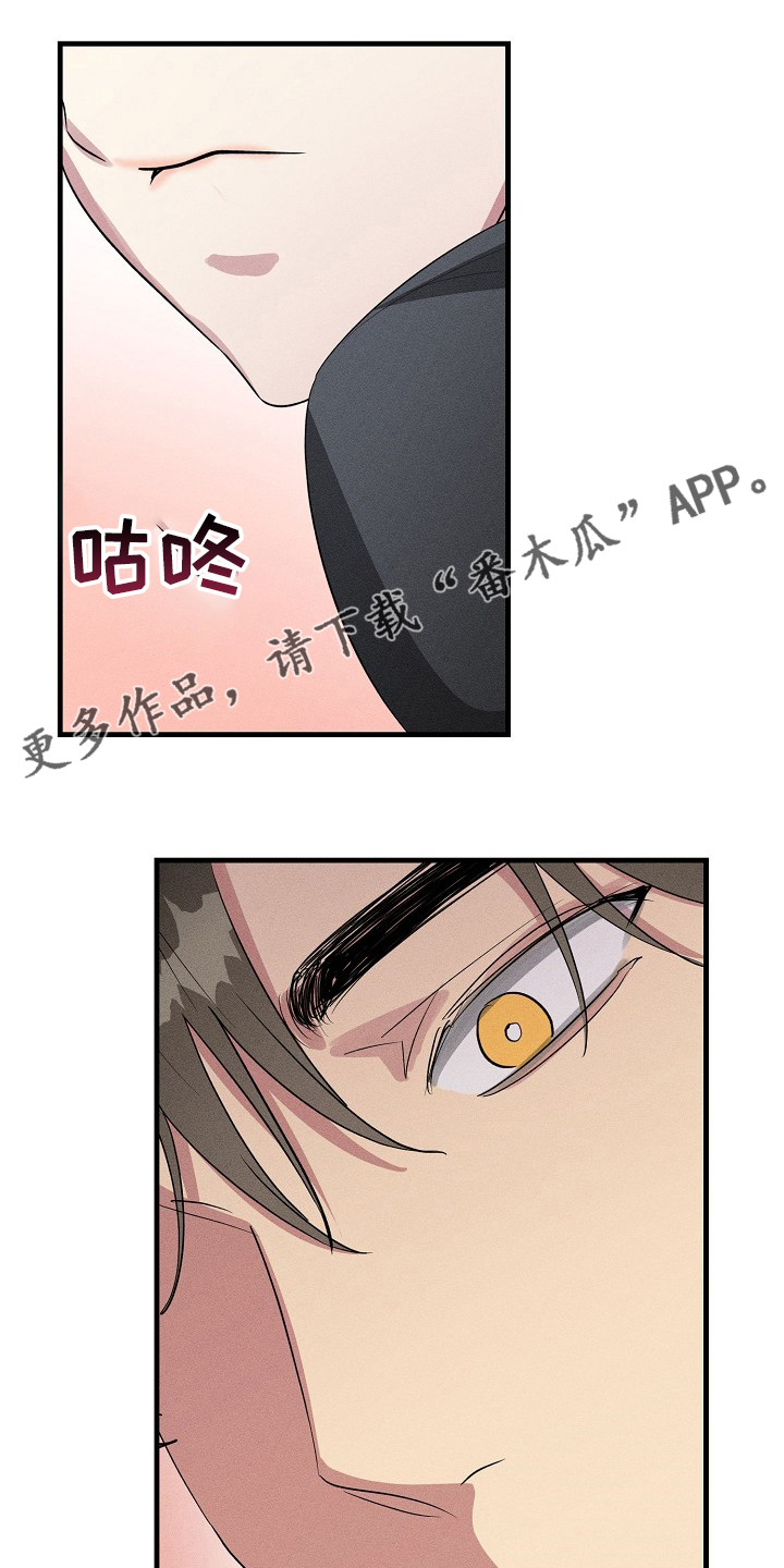 ar恋爱软件漫画,第86章：【第二季】没跟你开玩笑1图