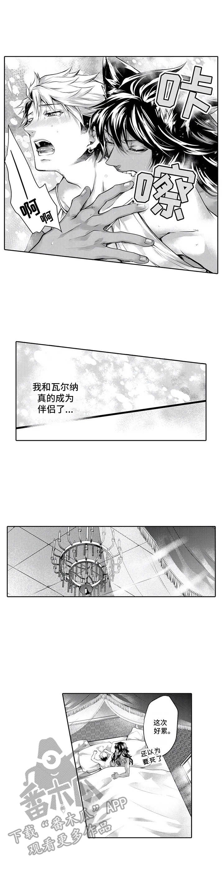 被兽人们爆炒漫画,第19章：归属（第一季完结）2图