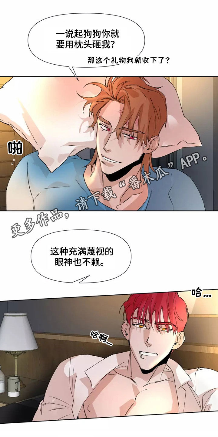 火爆香辣小龙虾的做法漫画,第81章：【番外】没有感情1图