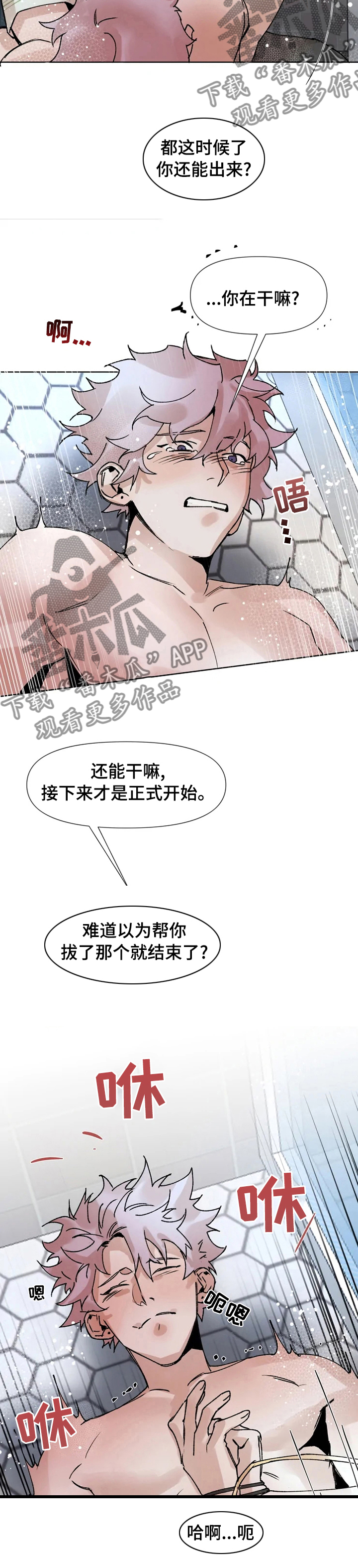 火爆香辣鱿鱼锅摆摊漫画,第50章：正式开始1图