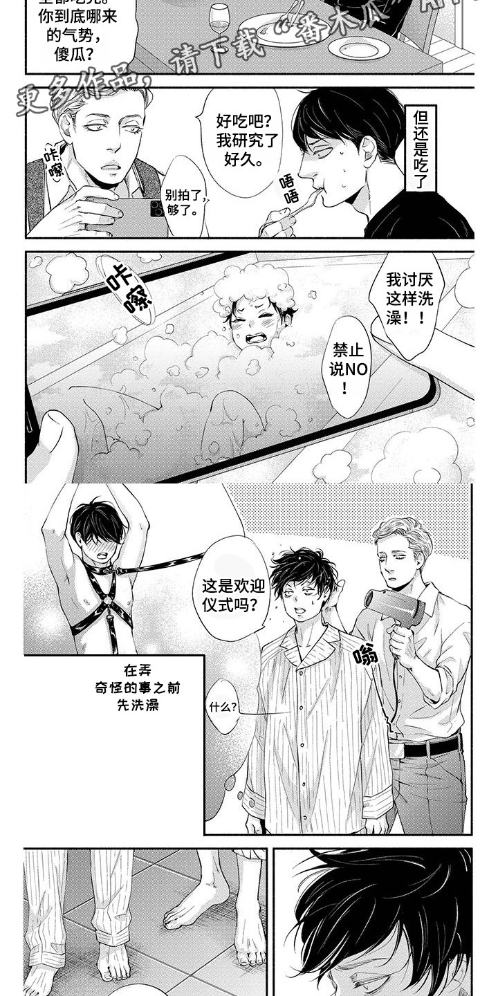 冬天的雪哪一面先融化漫画,第14章：专属之人（完结）2图
