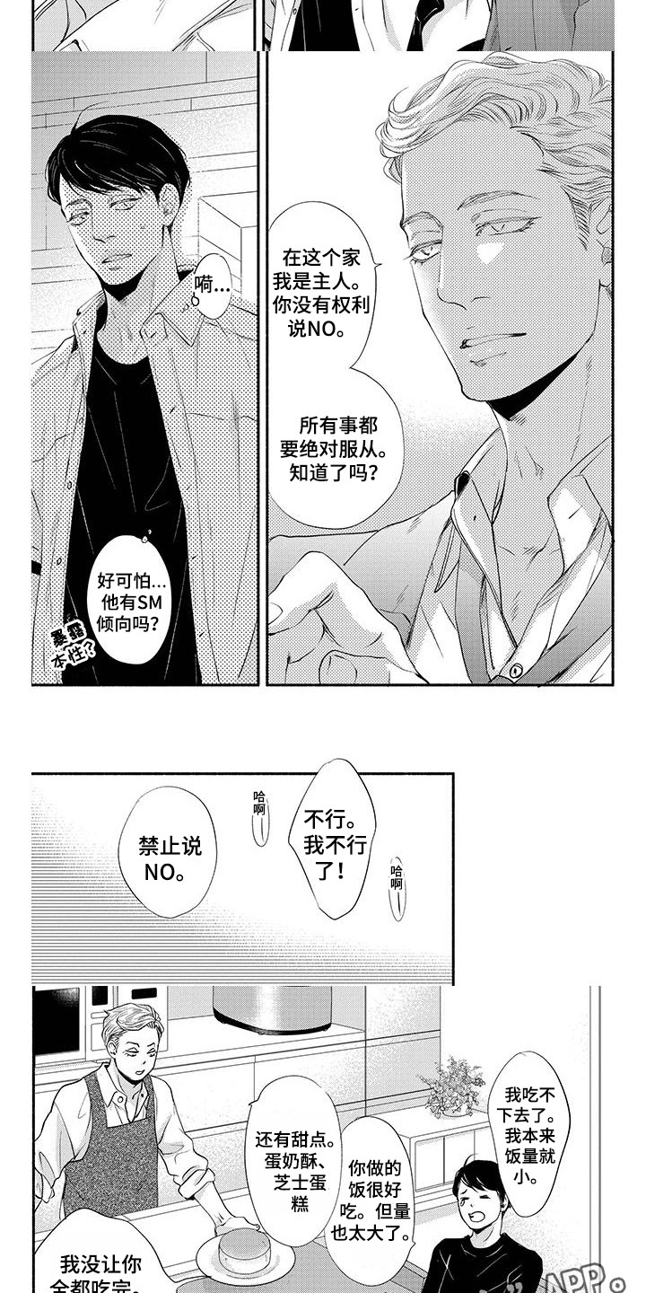 冬天的雪哪一面先融化漫画,第14章：专属之人（完结）1图