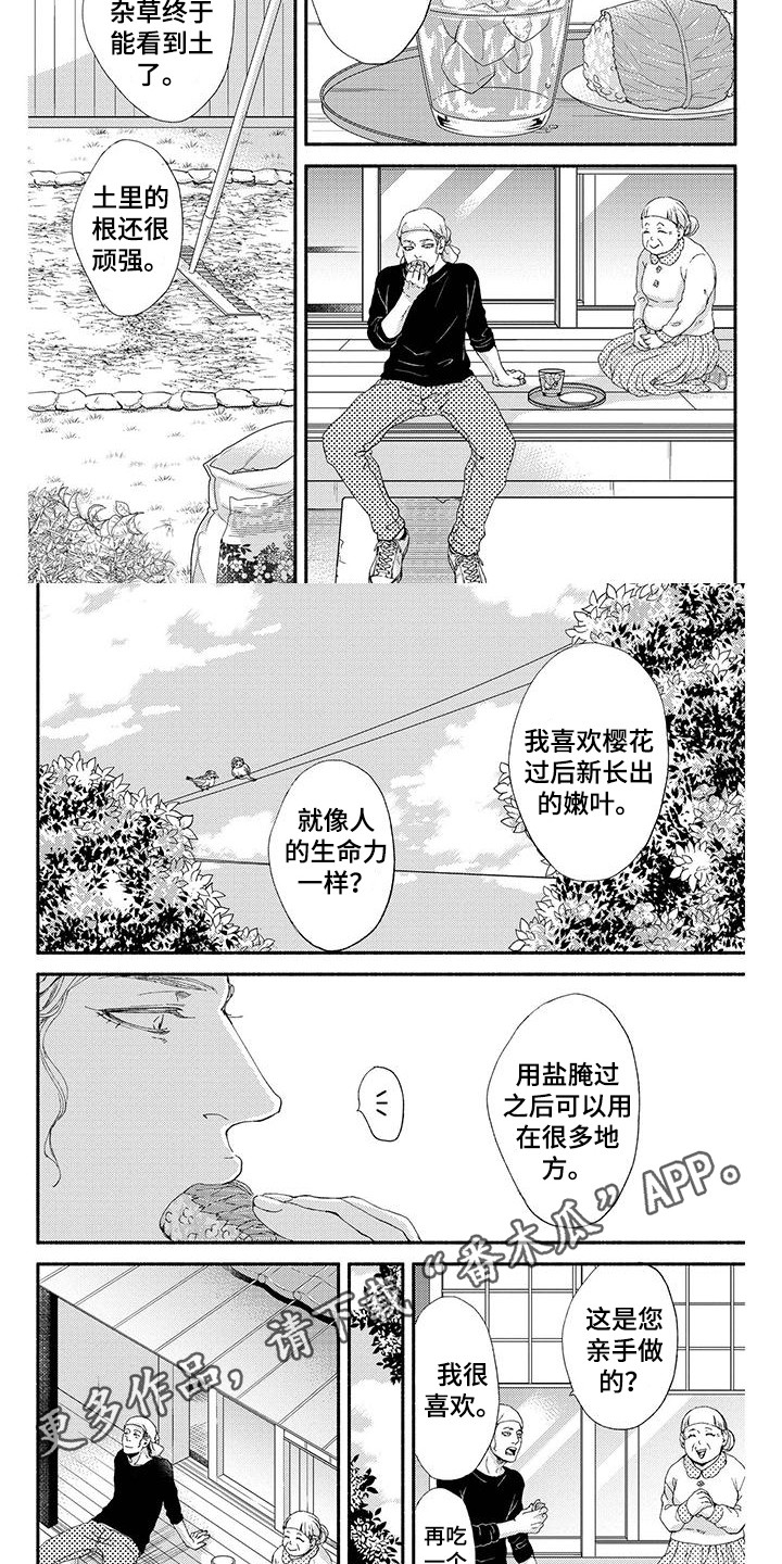 冬天的雪哪一面先融化漫画,第6章：春天1图