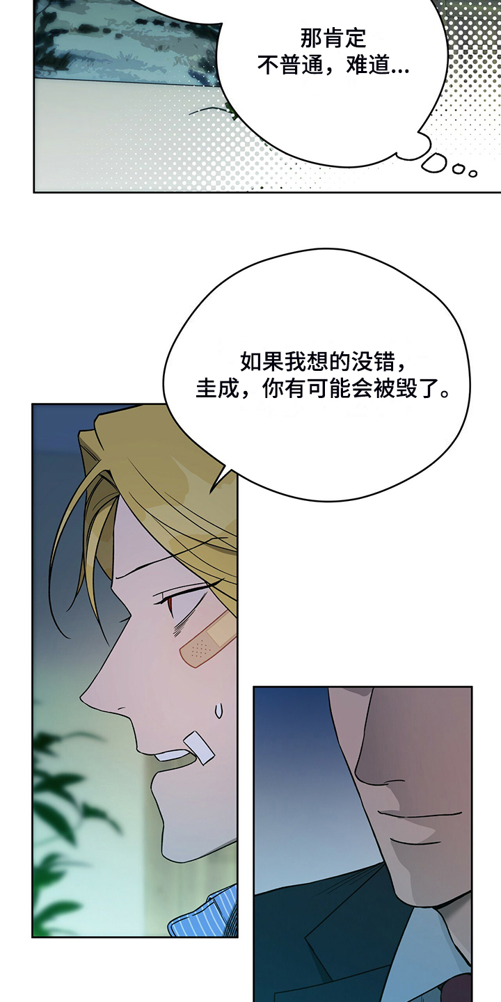 佣兵保镖漫画,第120章：【第二季】看猫2图