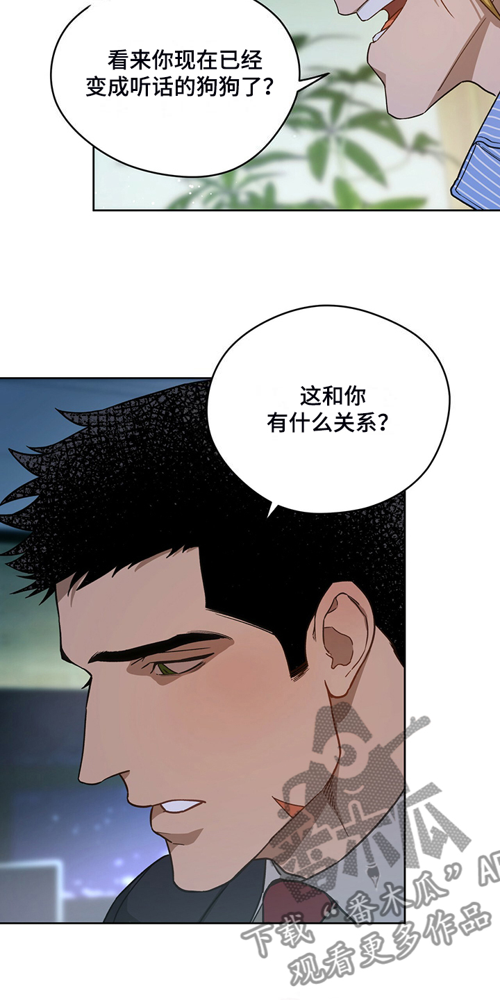 佣兵保镖漫画,第120章：【第二季】看猫1图