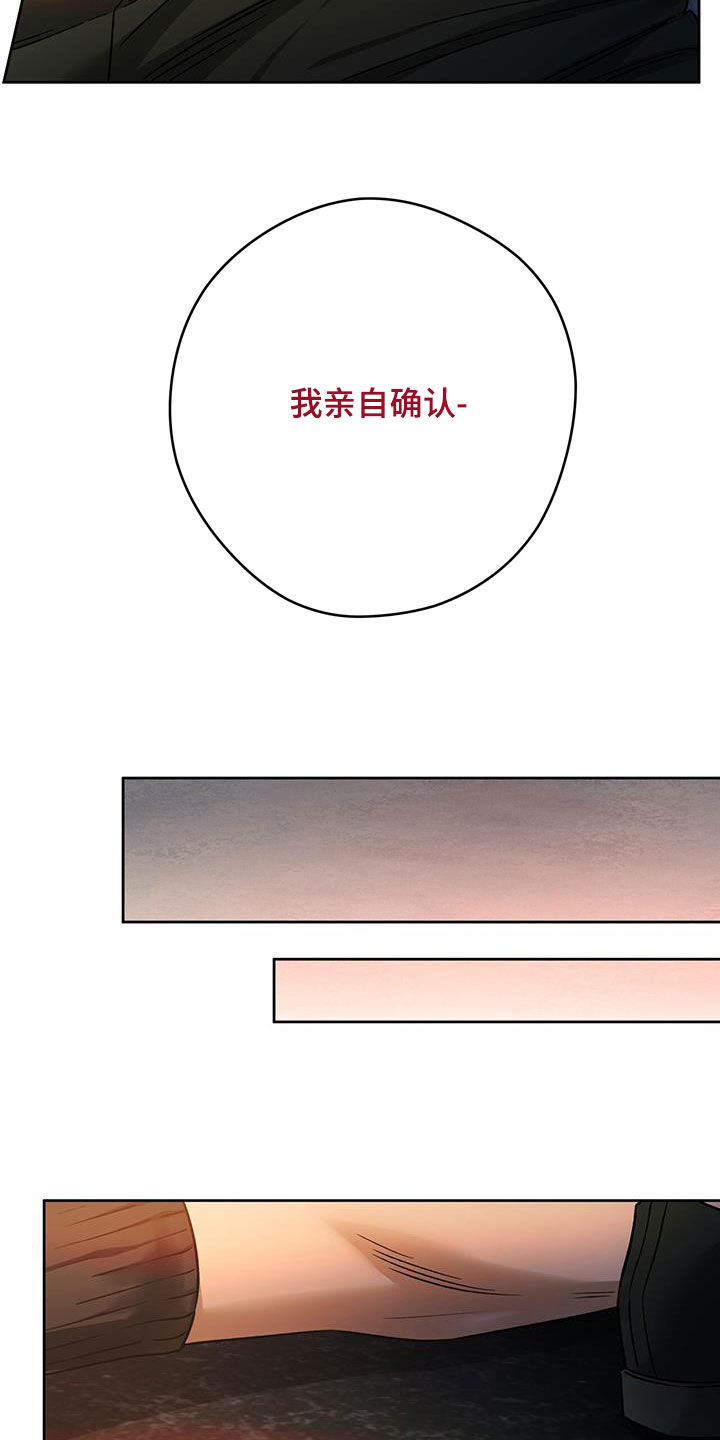 佣兵保镖漫画,第152章：【第三季】亲自确认2图