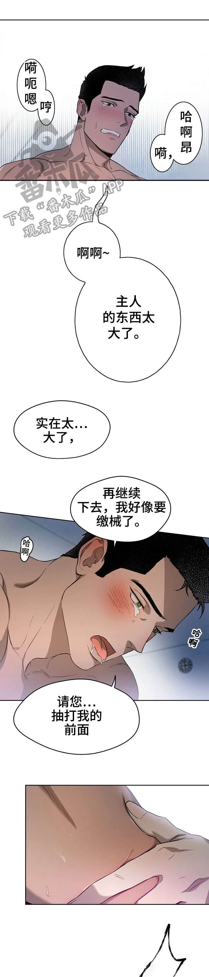佣兵保镖漫画,第23章：小猫咪2图