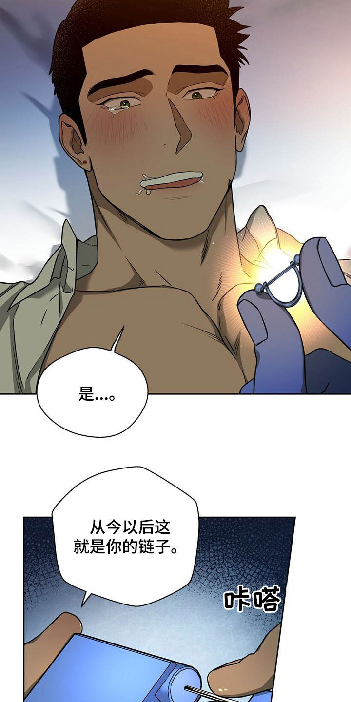 佣兵保镖漫画,第97章：【第二季】苍蝇1图