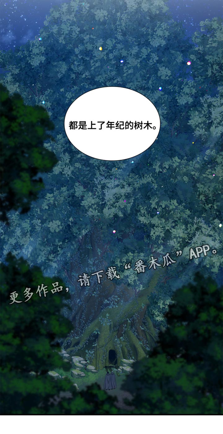 王国血脉免费阅读最新章节漫画,第62章：【第二季】不要回头2图