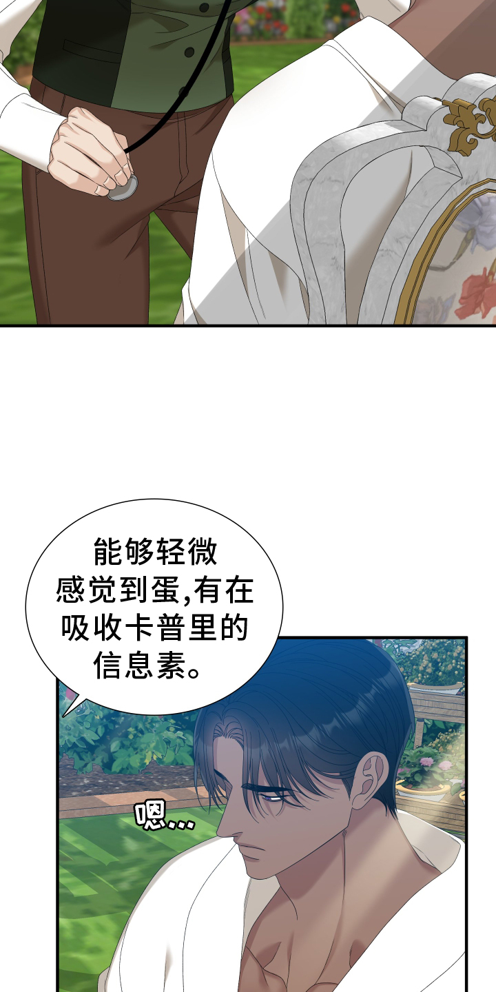 王国血脉漫画画漫画,第84章：【第二季】祝福你1图