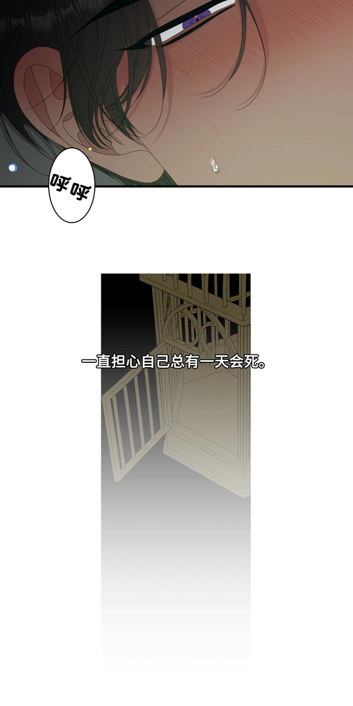 亡国血脉原名漫画,第65章：【第二季】不是这个名字1图