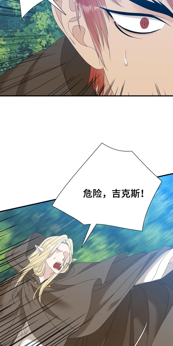 亡国血脉小说免费阅读全文下载漫画,第67章：【第二季】斯朗的精灵1图