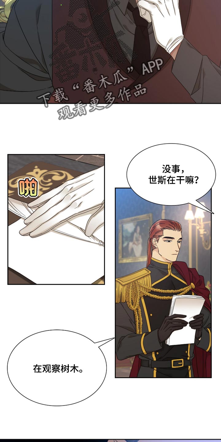 王国血脉小说漫画,第15章：观察树木2图