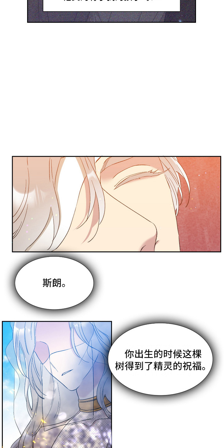 王国血脉未增删免费观看漫画,第11章：争论1图