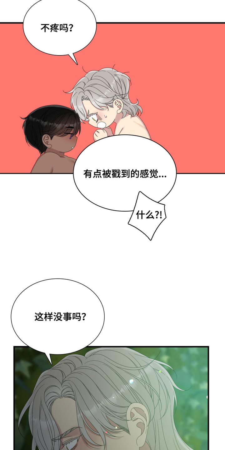 王国血脉小说漫画,第65章：【第二季】不是这个名字2图