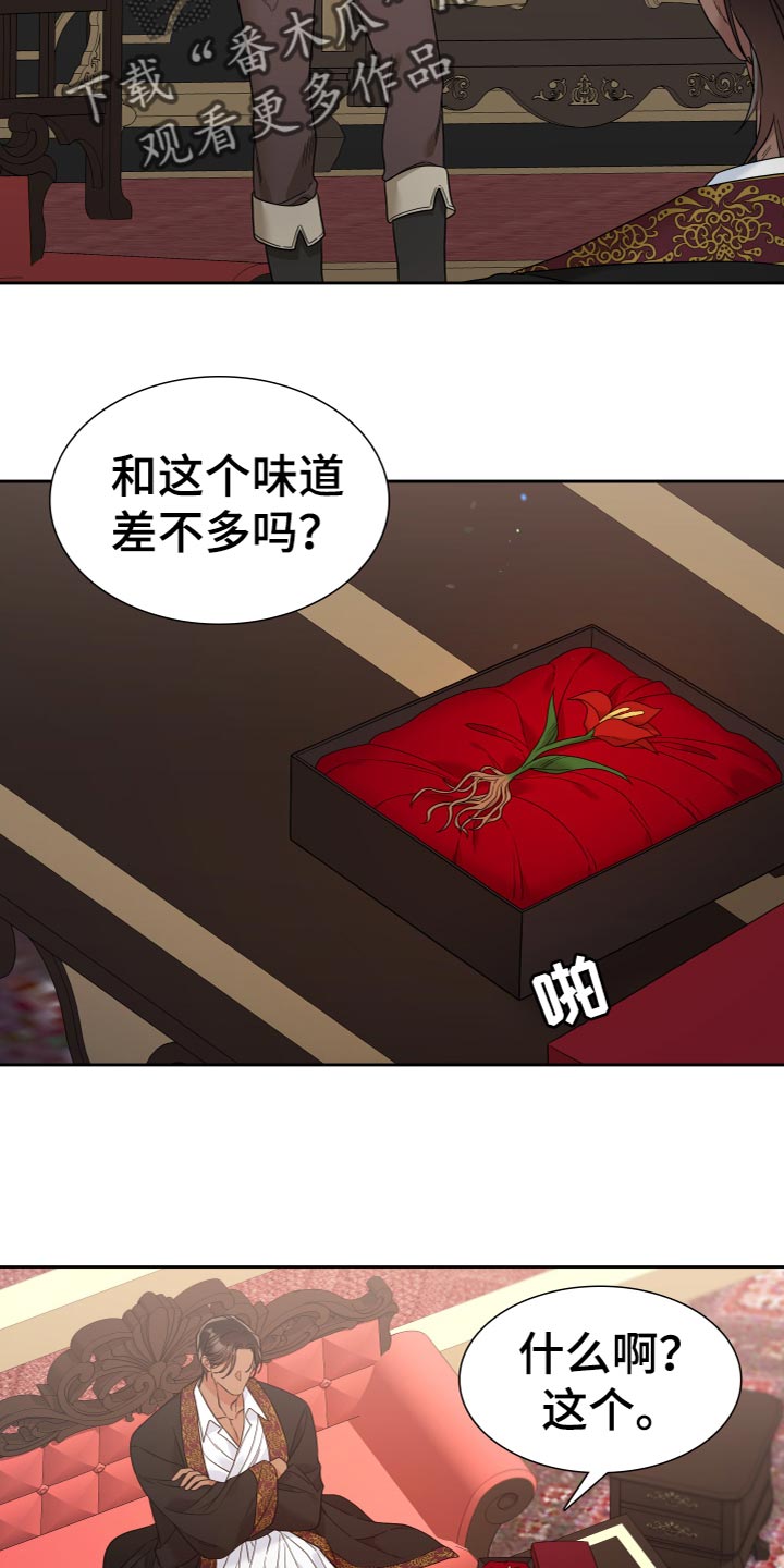 王国血脉小说漫画,第21章：奇怪的味道2图