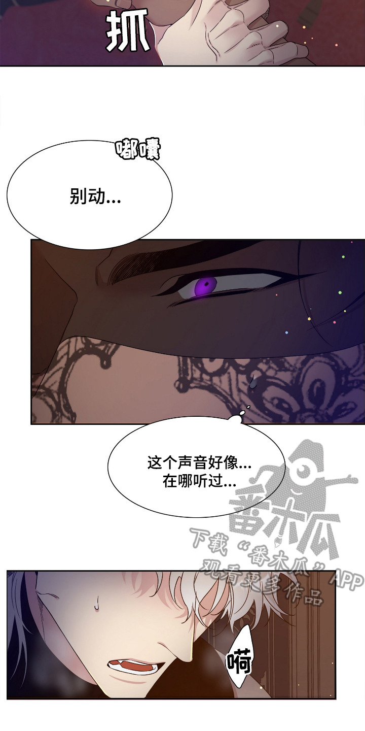 王国血脉未增删免费观看漫画,第4章：误闯2图