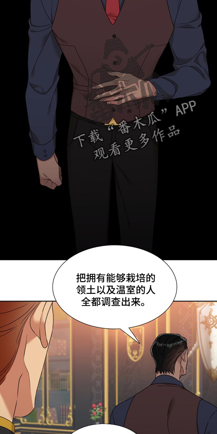 王国血脉小说漫画,第20章：提前官宣2图