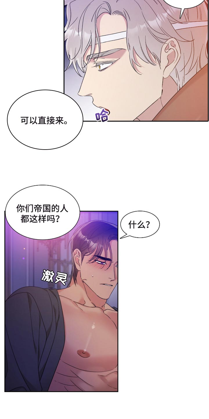 王国血脉未增删免费观看漫画,第14章：纹样1图