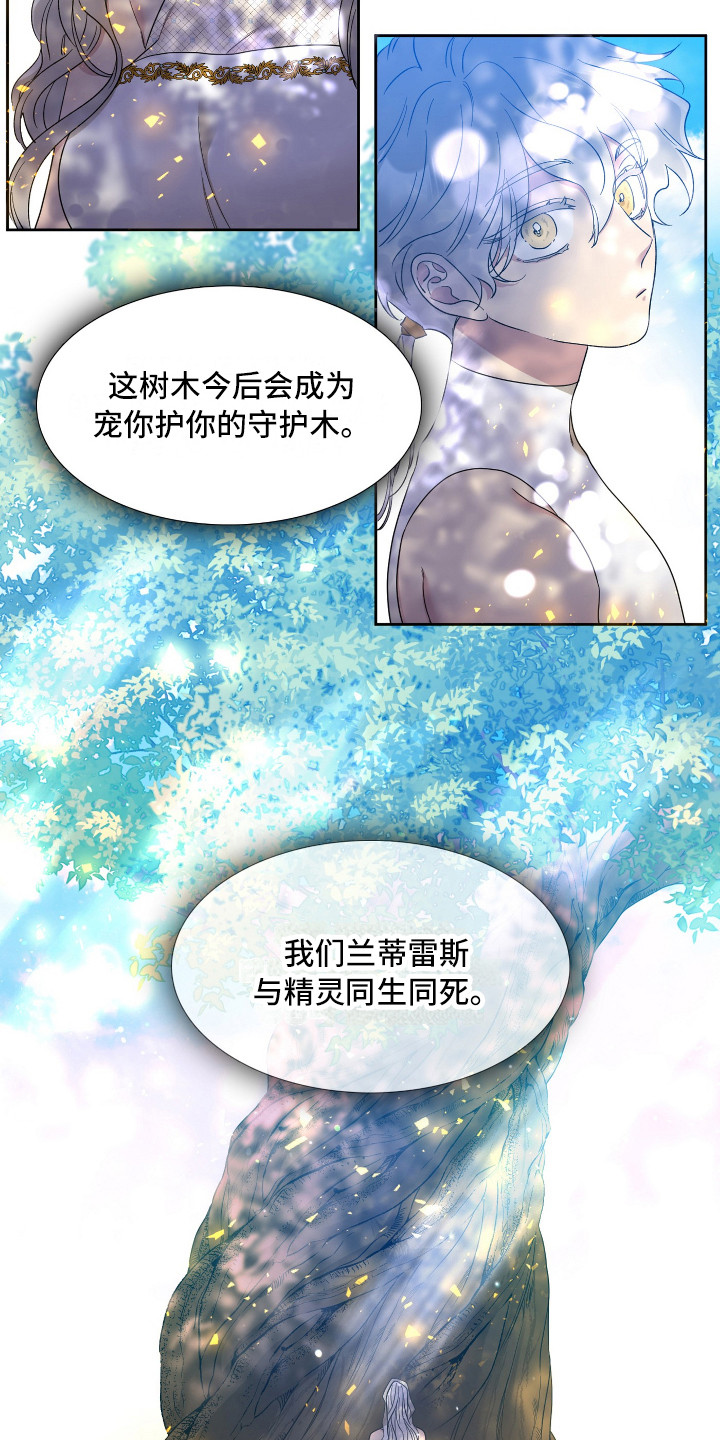 王国血脉未增删免费观看漫画,第11章：争论2图