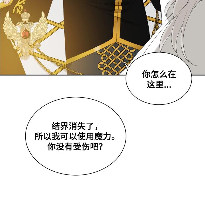 王国血脉未增删免费观看漫画,第52章：孩子的未来1图