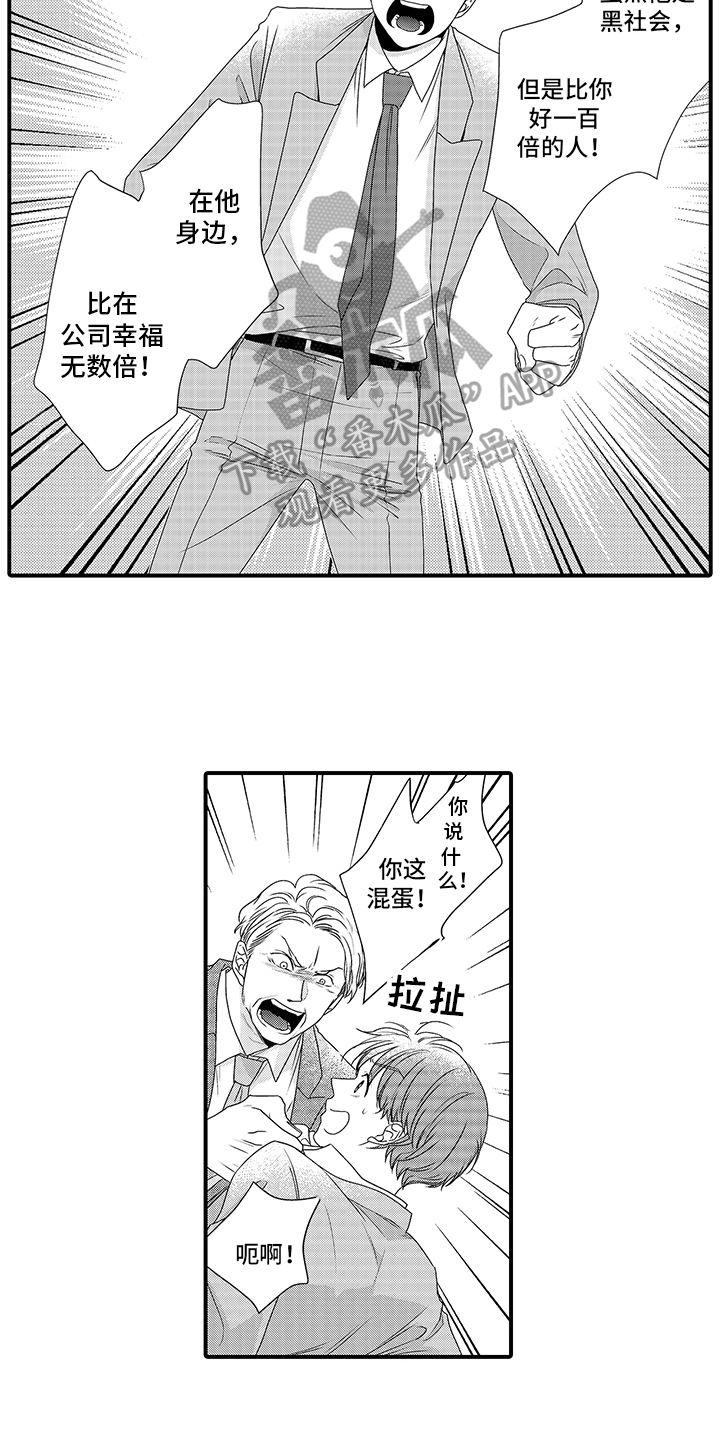 暗黑佣兵全装备补丁和大背包补丁冲突漫画,第15章：疯狂2图