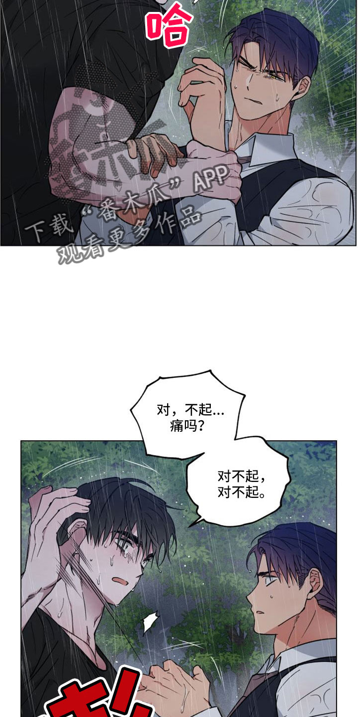 龙神至尊风无尘免费阅读全文漫画,第50章：需要的是你2图