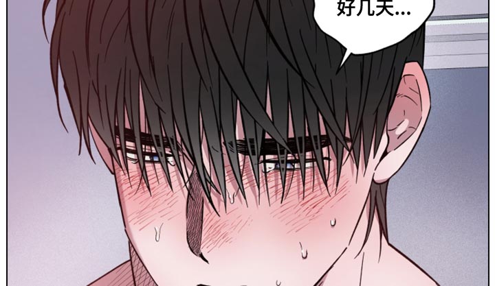 龙神殿小说漫画,第24章：让我冷静就好了1图